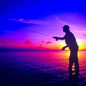 Meet your Posher, Todd